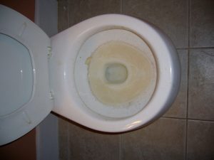 Čistenie WC od vodného kameňa bez chémie
