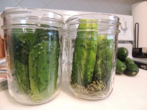 uhorky v pohároch na zaváranie